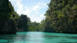 [31+] Palawan Wallpaper HD on WallpaperSafari