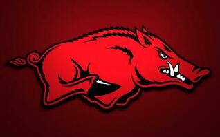 [50+] Razorback Wallpaper Free on WallpaperSafari