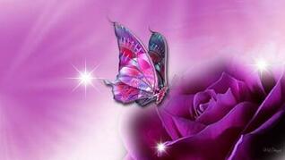 [50+] 3D Butterfly Wallpaper Free Download on WallpaperSafari