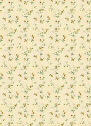 Free download Applying Printable Doll House Wallpaper [576x792] for ...