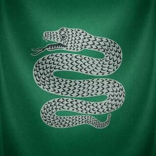 Free download Slytherin Iphone Wallpaper Slytherin Iphone Wallpaper