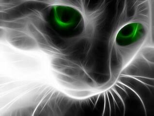 [28+] Neon Cat Wallpaper on WallpaperSafari