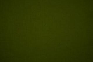 [42+] Olive Green Desktop Wallpaper on WallpaperSafari