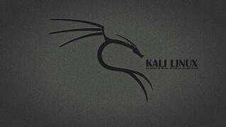 [43+] Kali Linux Wallpaper 1920x1080 on WallpaperSafari