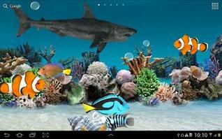 [48+] 3D Live Aquarium Wallpapers on WallpaperSafari