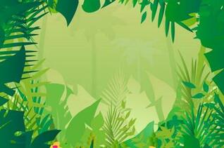 [48+] Jungle Theme Wallpaper for Kids on WallpaperSafari