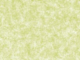 [47+] Sage Green Wallpaper on WallpaperSafari