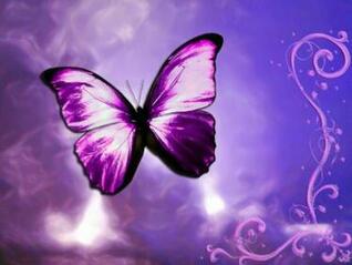 [47+] Animated Butterfly Wallpaper on WallpaperSafari