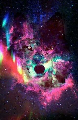 [46+] Galaxy Wolf Wallpaper on WallpaperSafari