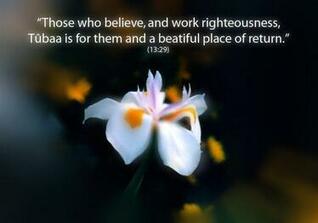 [49+] Islamic Wallpapers with Quotes on WallpaperSafari