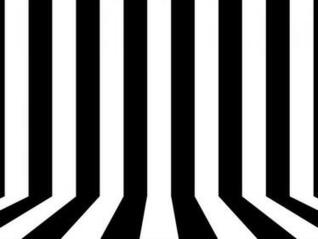 are white with black stripes or