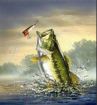 [47+] Bass Fishing Wallpaper HD on WallpaperSafari