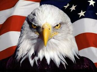 [49+] American Flag with Eagle Wallpaper on WallpaperSafari