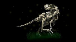 Free download Dinosaurs skeletons Tyrannosaurus Rex wallpaper 1920x1080