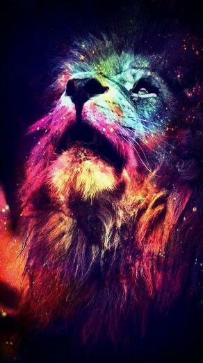 [40+] Colorful Lion Wallpaper on WallpaperSafari