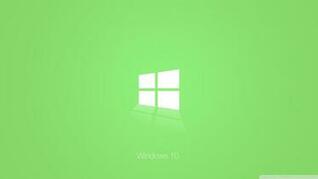 [46+] Windows 10 Green Wallpaper on WallpaperSafari