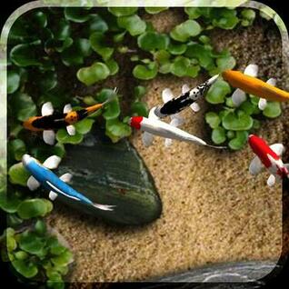 Free download Download Aquarium Live Wallpaper to Android [562x900] for