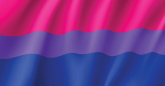 Bisexual Flag 90cm x 150cm at MR. Riegillio