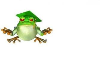 Free download Cute Frog Backgrounds [1200x800] for your Desktop, Mobile