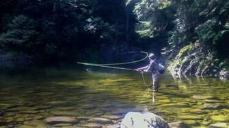 Fly Fishing In The River Wallpaper Border