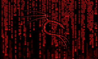 [43+] Kali Linux Wallpaper HD on WallpaperSafari