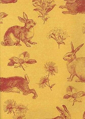 [41+] Yellow and Red Toile Wallpaper on WallpaperSafari