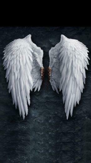 HD angel wings wallpapers