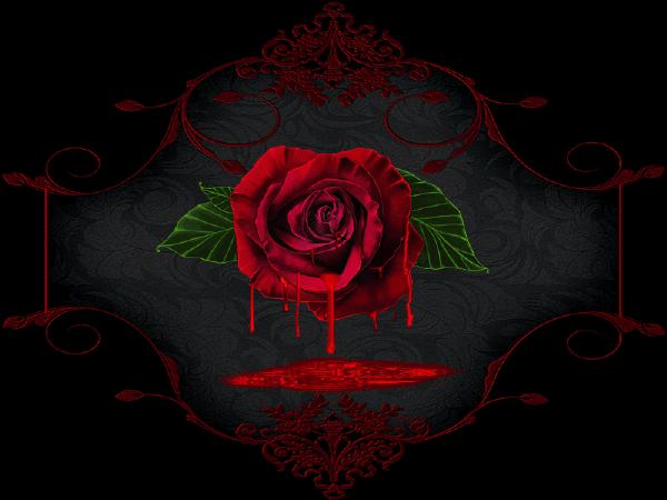 [49+] Bloody Rose Wallpaper on WallpaperSafari