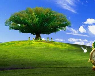 [48+] Windows XP Default Wallpaper Location on WallpaperSafari