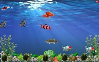 [48+] Animated Underwater Wallpaper on WallpaperSafari
