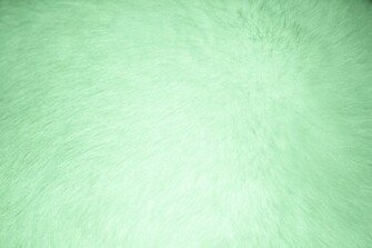 Free download Light Green Fur Texture Picture Free Photograph Photos Public  [3888x2592] for your Desktop, Mobile & Tablet