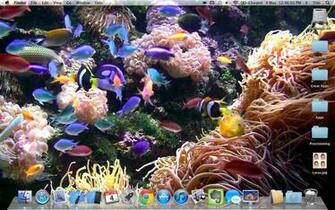 [47+] Aquarium Live Wallpaper for Desktop on WallpaperSafari