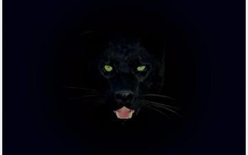 [19+] Black Panther Animal 4K Wallpapers