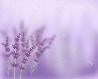 1920x1080 Light Pastel Purple Solid Color Background