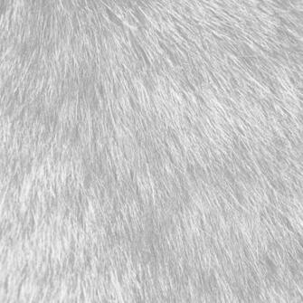 [32+] White Fur Wallpaper on WallpaperSafari