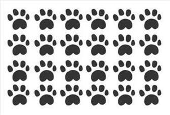 [38+] Colorful Paw Print Wallpaper on WallpaperSafari