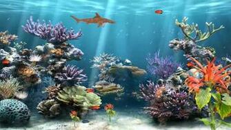 [49+] Moving Fish Aquarium Wallpaper on WallpaperSafari