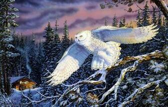 My Owl Barn: Winter Animals Desktop Wallpaper