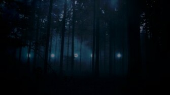 [46+] Creepy Forest Wallpaper on WallpaperSafari