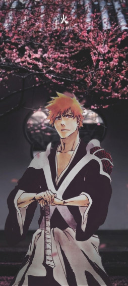 Wallpaper wallpaper, game, bleach, anime, Kurosaki Ichigo, dust, boy,  ichigo for mobile and desktop, section сёнэн, resolution 2500x1907 -  download