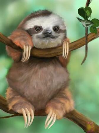 [45+] Cute Sloth Wallpaper on WallpaperSafari