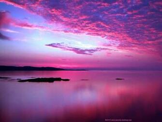 [44+] Purple and Pink Sunset Wallpaper on WallpaperSafari