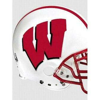 [48+] Wisconsin Badgers Logo Wallpaper on WallpaperSafari