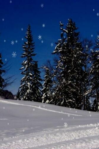 [46+] Free Christmas Wallpaper Snow Falling on WallpaperSafari