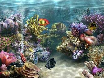 [49+] Aquarium Wallpaper Free Download on WallpaperSafari