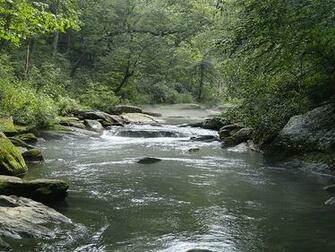 Fly Fishing In The River Wallpaper Border