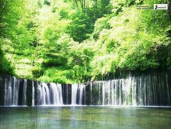 [45+] Rainy Forest Wallpaper on WallpaperSafari