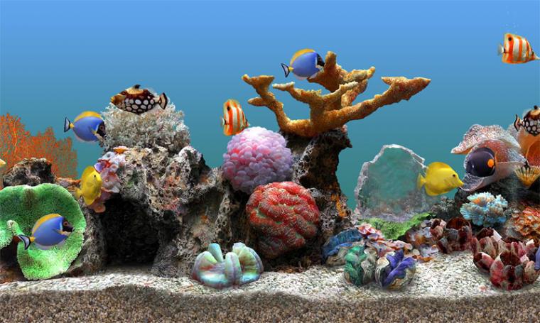 Free download Marine Aquarium Time es un salvapantallas que convertir ...