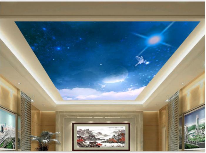Free download Download night sky wallpaper for ceiling [700x525] for