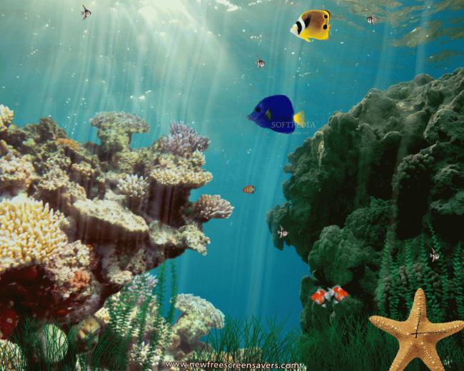 [49+] Free Animated Underwater Wallpaper on WallpaperSafari